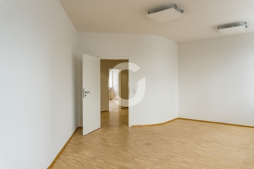 Bürofläche in Wangen ab sofort verfügbar – 150 und 220 m² - Impression (88846)