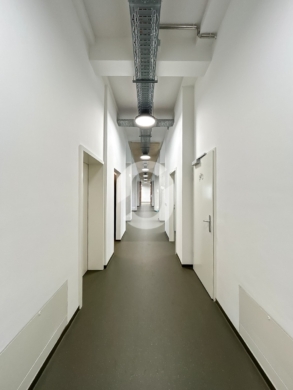 LOFT – sofort beziehbar – in Stuttgart-Süd - Flur (91963)