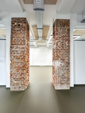 LOFT – sofort beziehbar – in Stuttgart-Süd - Impression (91965)