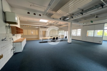 Großzügige Büroflächen in Frickenhausen - Lager (8) (74848)