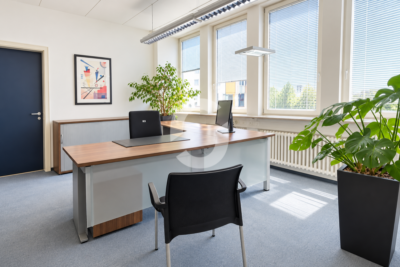 Zentrale Bürofläche in Stuttgart-West – 781 m² | Historischer Charme - Büro (99390)