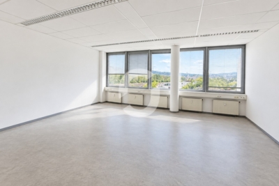Helle & flexible Bürofläche in Stuttgart-Nord – attraktive Gewerbelage – 552 m² - Büro (99491)