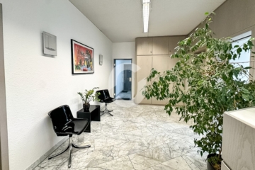 Möblierte Bürofläche mit Terrasse in S -West - Empfangsbereich (93693)