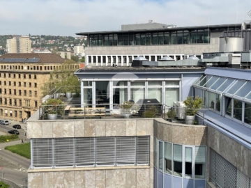Saniertes DG-Penthouse mit Blick auf den Schlossplatz - Terrasse (74611)