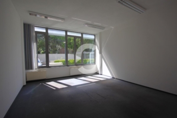 Büroflächen in City-Nähe - IMG_7287 (72888)