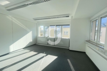 Ein ganzes Haus für Ihr Unternehmen? hier ist dies möglich! - Bild (93735)