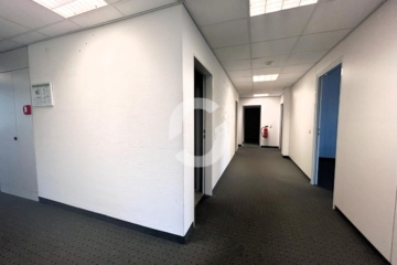 Ein ganzes Haus für Ihr Unternehmen? hier ist dies möglich! - Bild (93736)